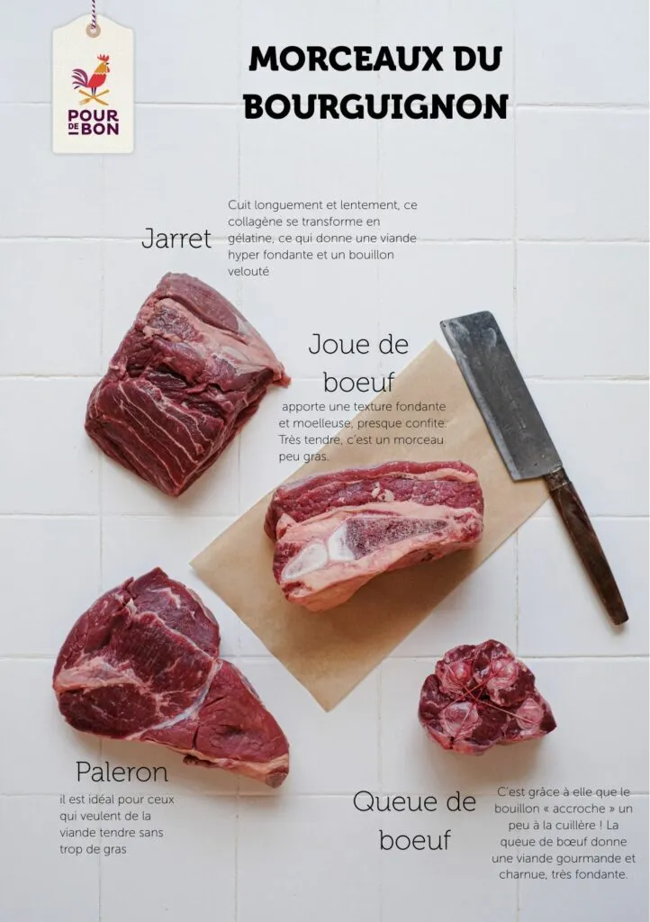 Bourguignon quel viande choisir pour un ragoût qui tient la route